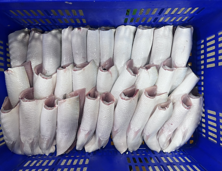 鹹水虱目魚肚